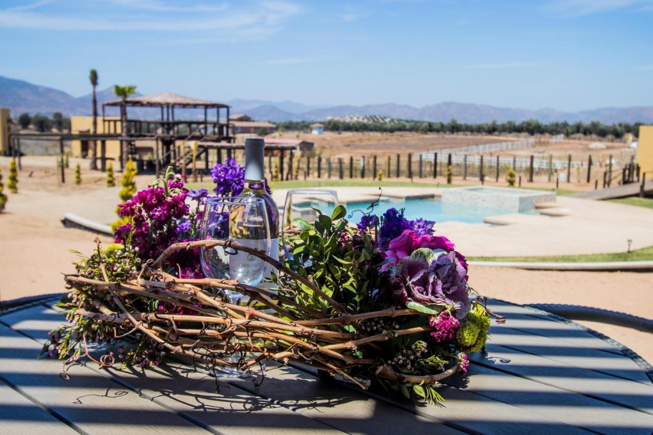 Cuatro Lunas Hotel Boutique Valle de Guadalupe Bagian luar foto