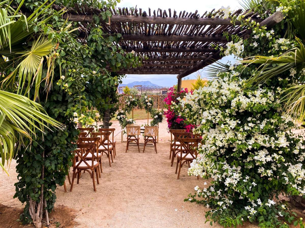Cuatro Lunas Hotel Boutique Valle de Guadalupe Bagian luar foto