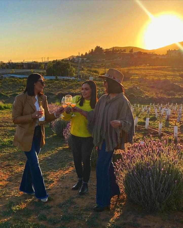 Cuatro Lunas Hotel Boutique Valle de Guadalupe Bagian luar foto