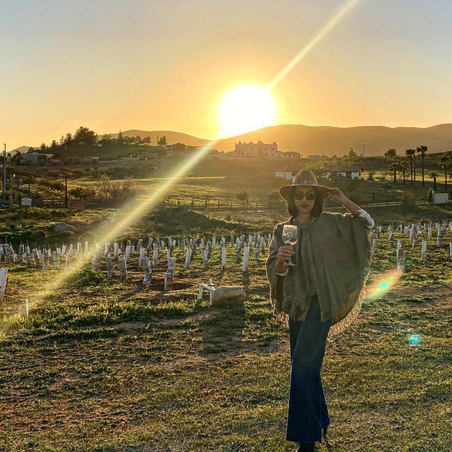 Cuatro Lunas Hotel Boutique Valle de Guadalupe Bagian luar foto