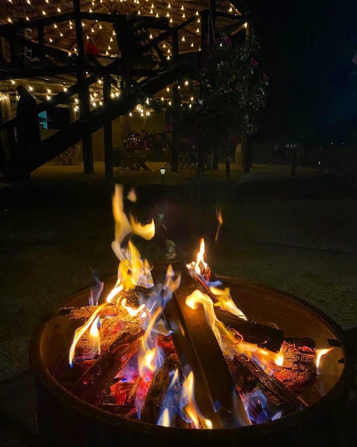 Cuatro Lunas Hotel Boutique Valle de Guadalupe Bagian luar foto