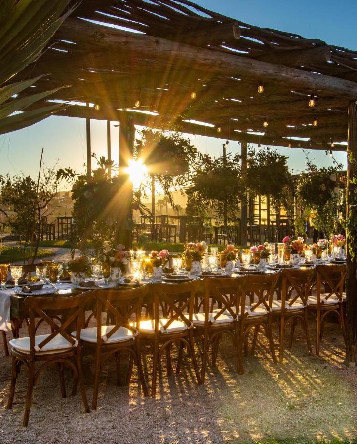 Cuatro Lunas Hotel Boutique Valle de Guadalupe Bagian luar foto