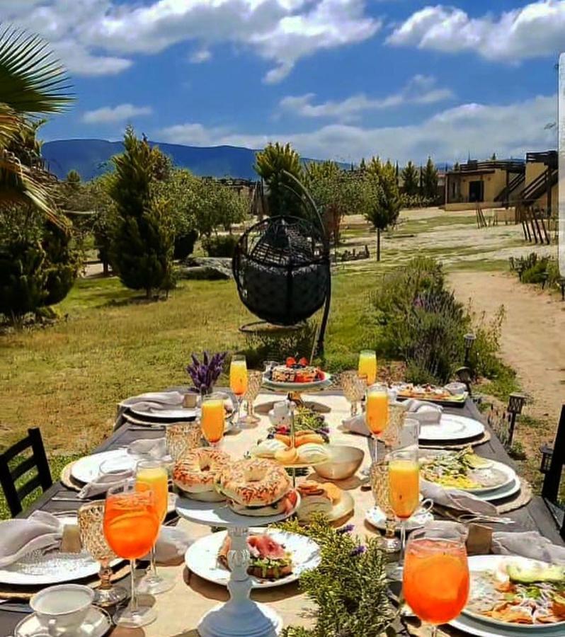 Cuatro Lunas Hotel Boutique Valle de Guadalupe Bagian luar foto